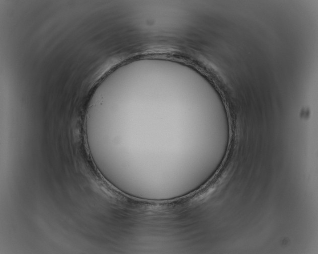 X0000091991401200710041121