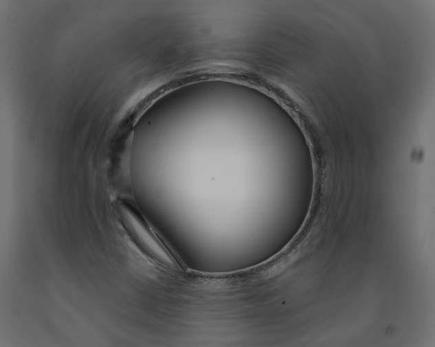 X0000091991402200710041121
