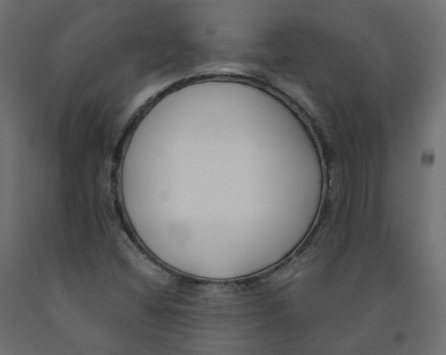 X0000091991404200710041121
