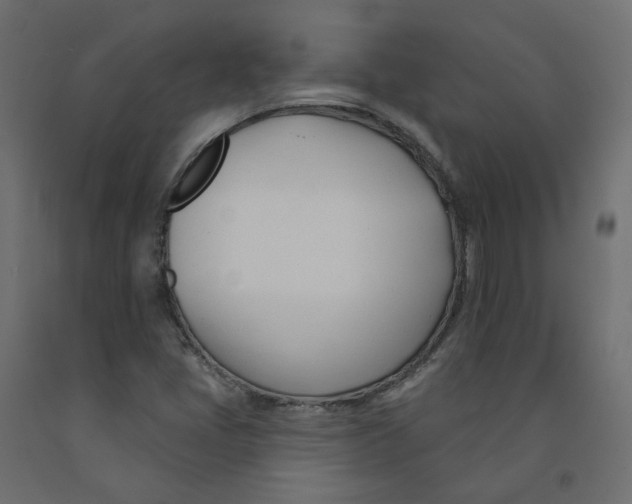 X0000091991405200710041121