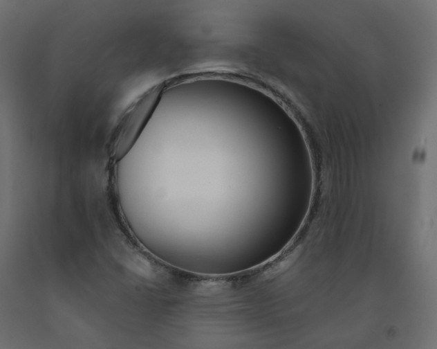 X0000091991406200710041121