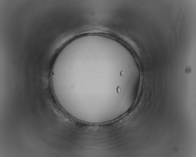X0000091991407200710041121