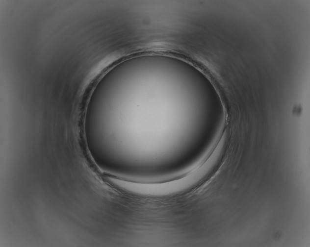 X0000091991410200710041121