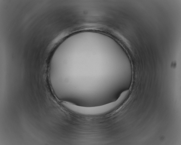 X0000091991411200710041121