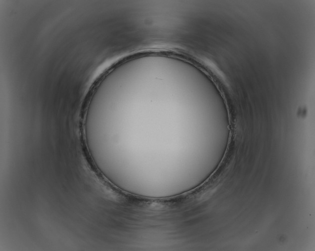 X0000091991412200710041121