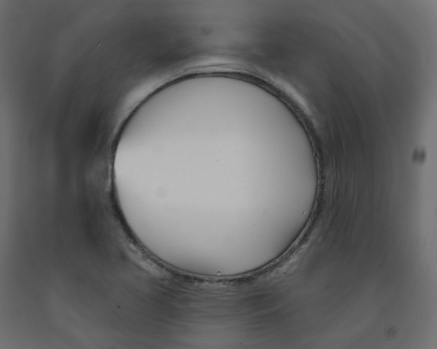 X0000091991413200710041121