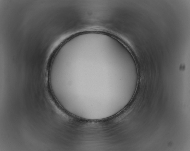 X0000091991414200710041121