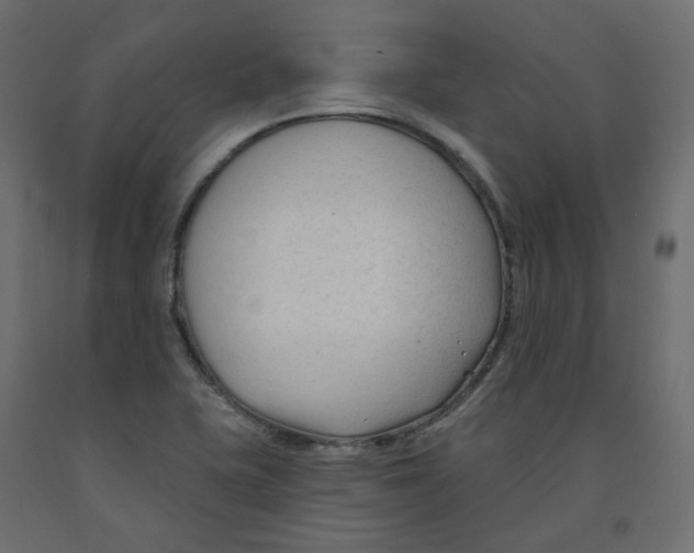 X0000091991415200710041121