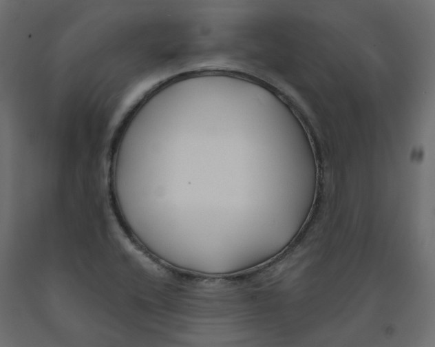 X0000091991416200710041121
