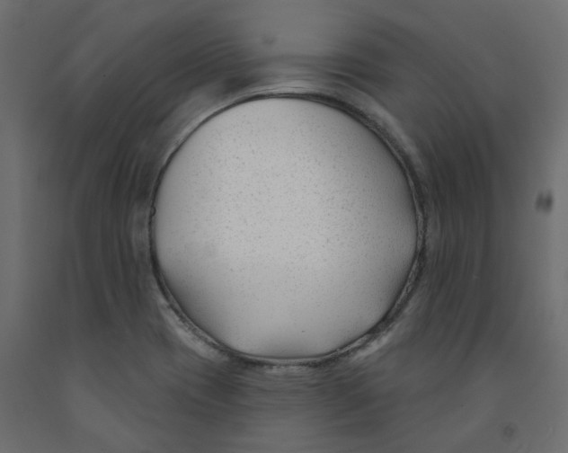 X0000091991417200710041121