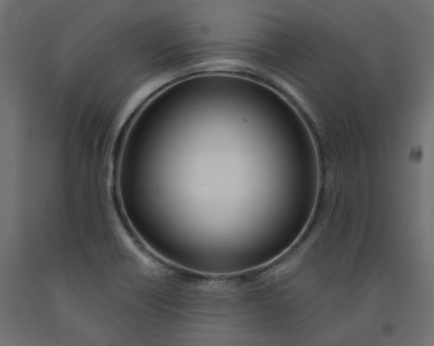 X0000091991418200710041121