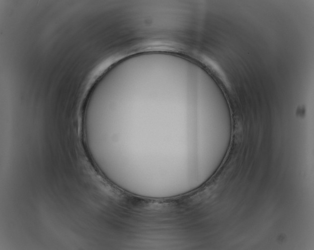 X0000091991419200710041121