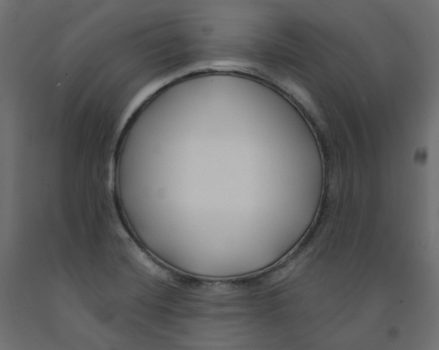 X0000091991420200710041121