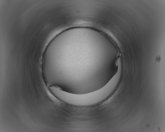 X0000091991421200710041121