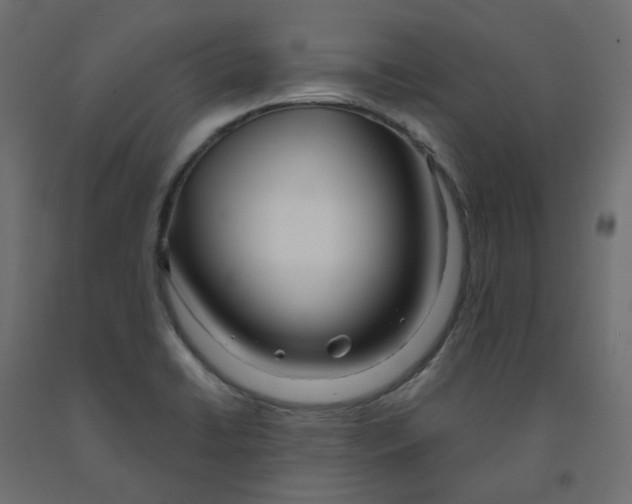 X0000091991422200710041121