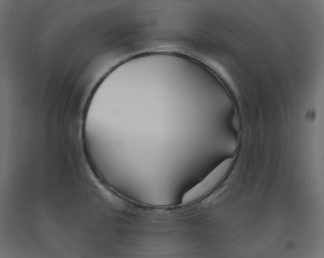 X0000091991424200710041121