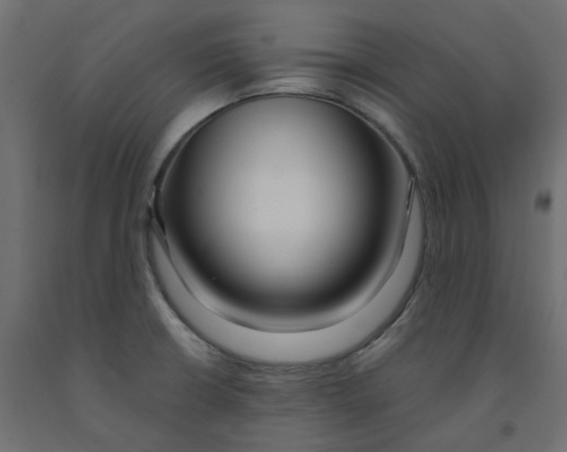 X0000091991426200710041121