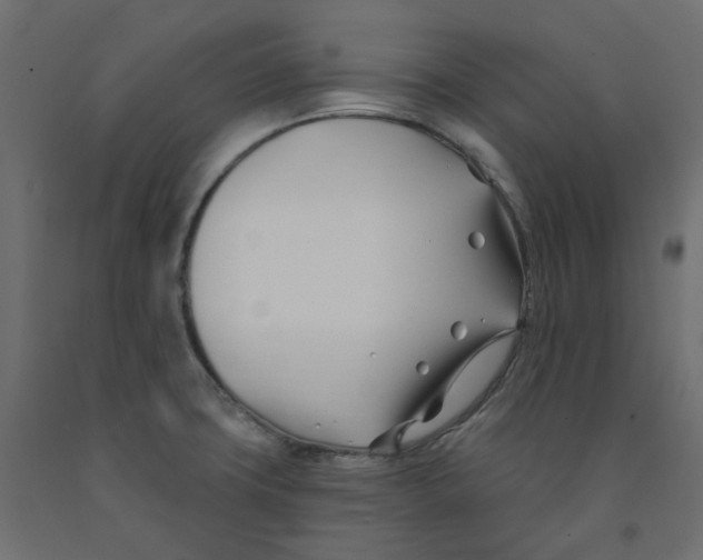 X0000091991427200710041121