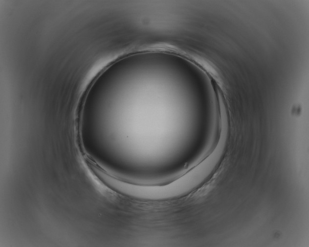 X0000091991430200710041121