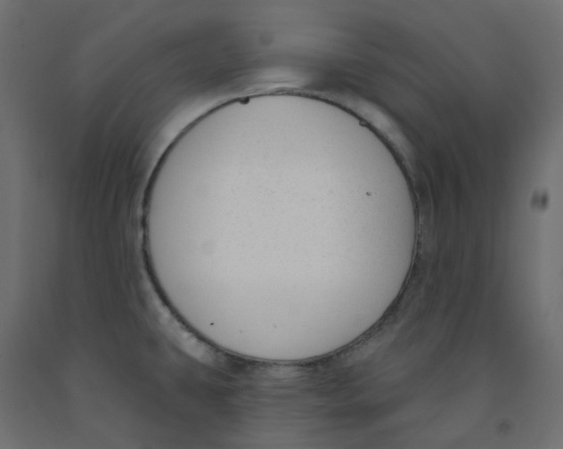 X0000091991431200710041121