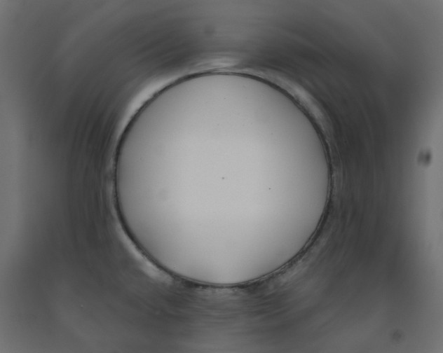 X0000091991432200710041121