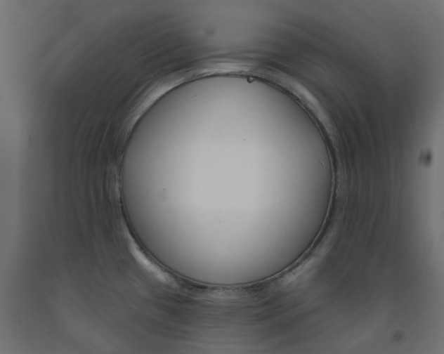 X0000091991433200710041121