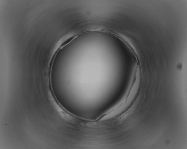 X0000091991434200710041121
