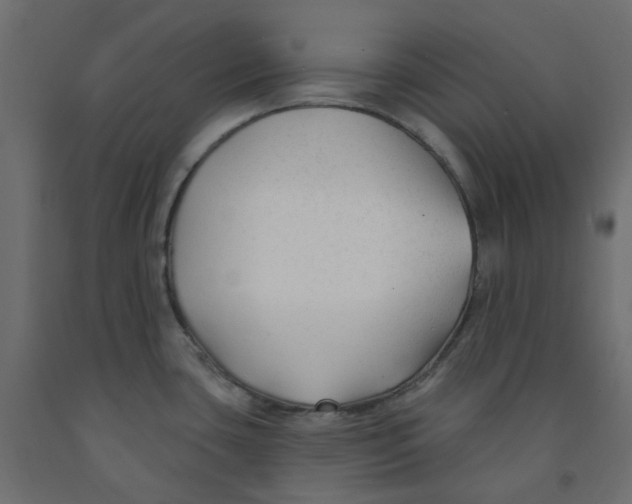 X0000091991435200710041121