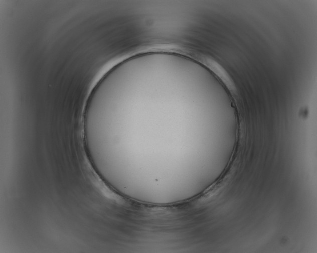 X0000091991436200710041121