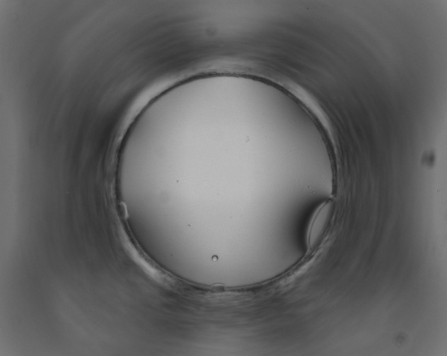 X0000091991437200710041121