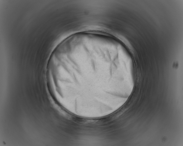 X0000091991439200710041121