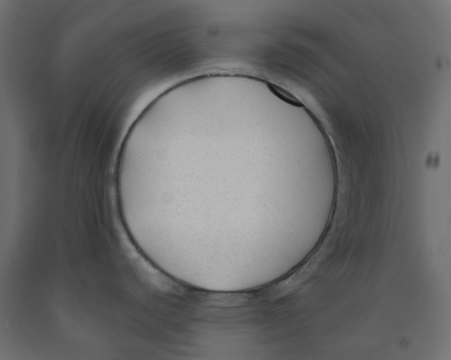 X0000091991440200710041121