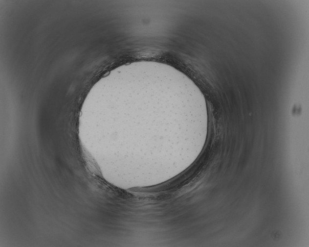X0000091991441200710041121
