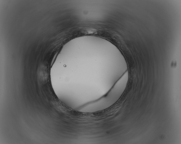X0000091991442200710041121