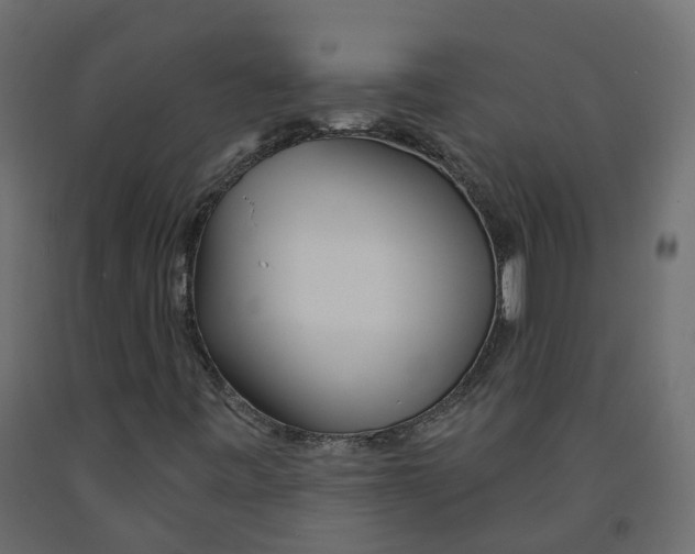 X0000091991443200710041121