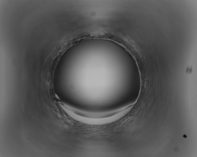 X0000091991445200710041121