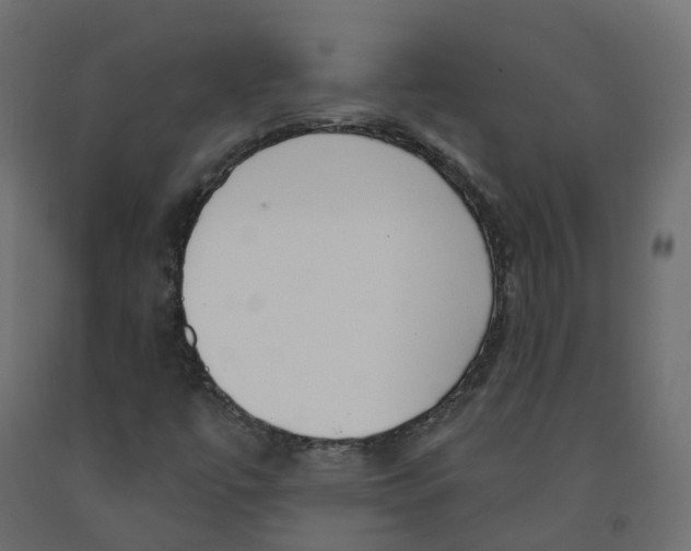 X0000091991447200710041121