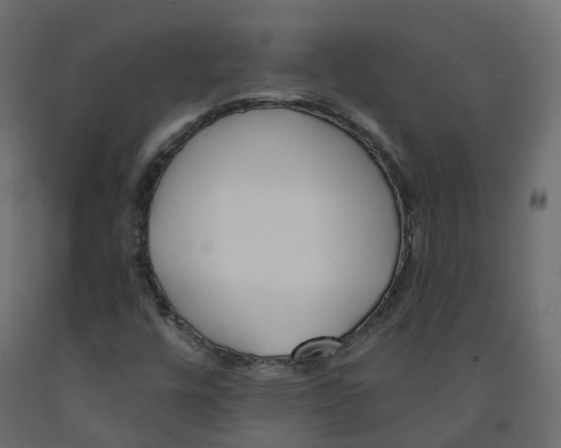 X0000091991448200710041121