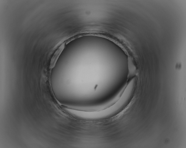 X0000091991449200710041121