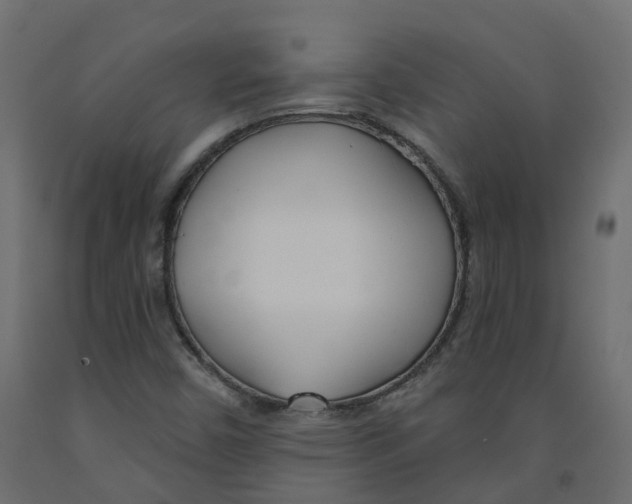 X0000091991450200710041121