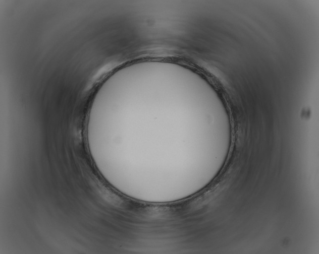 X0000091991451200710041121