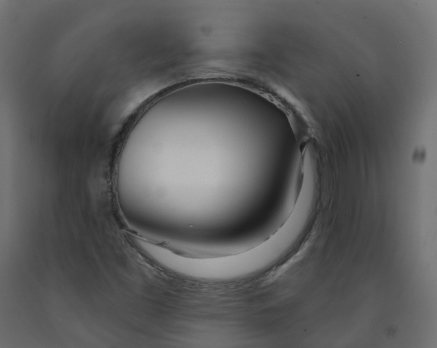 X0000091991453200710041121