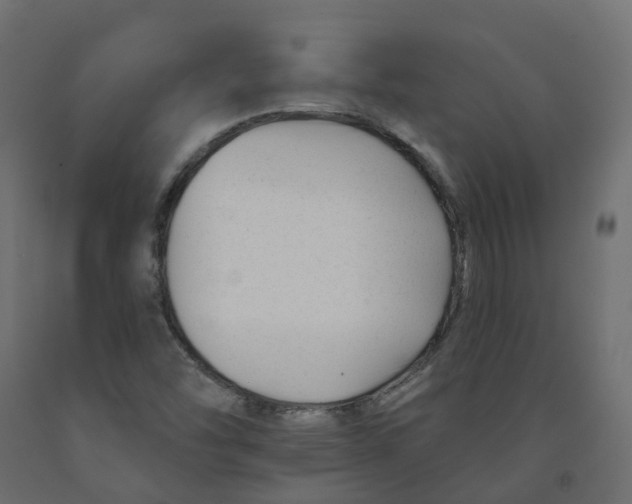 X0000091991454200710041121