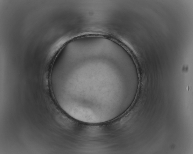 X0000091991455200710041120