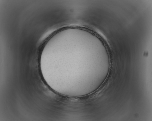 X0000091991456200710041120