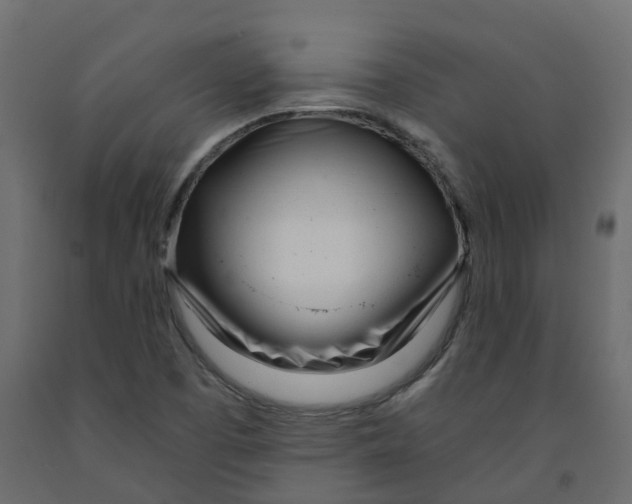 X0000091991457200710041120