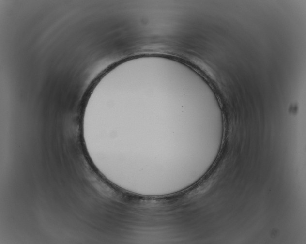 X0000091991458200710041120