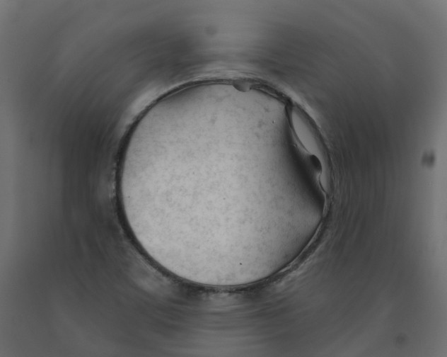 X0000091991459200710041120