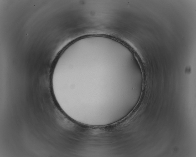 X0000091991460200710041120