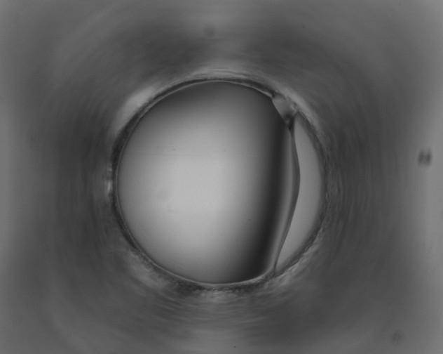 X0000091991461200710041120